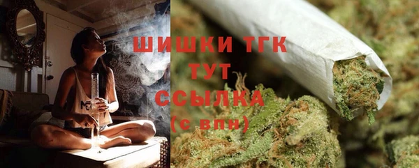 дурь Арсеньев