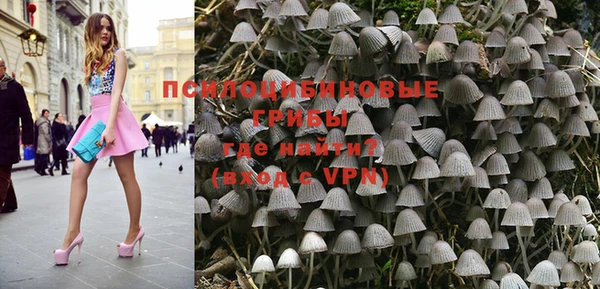 дурь Арсеньев